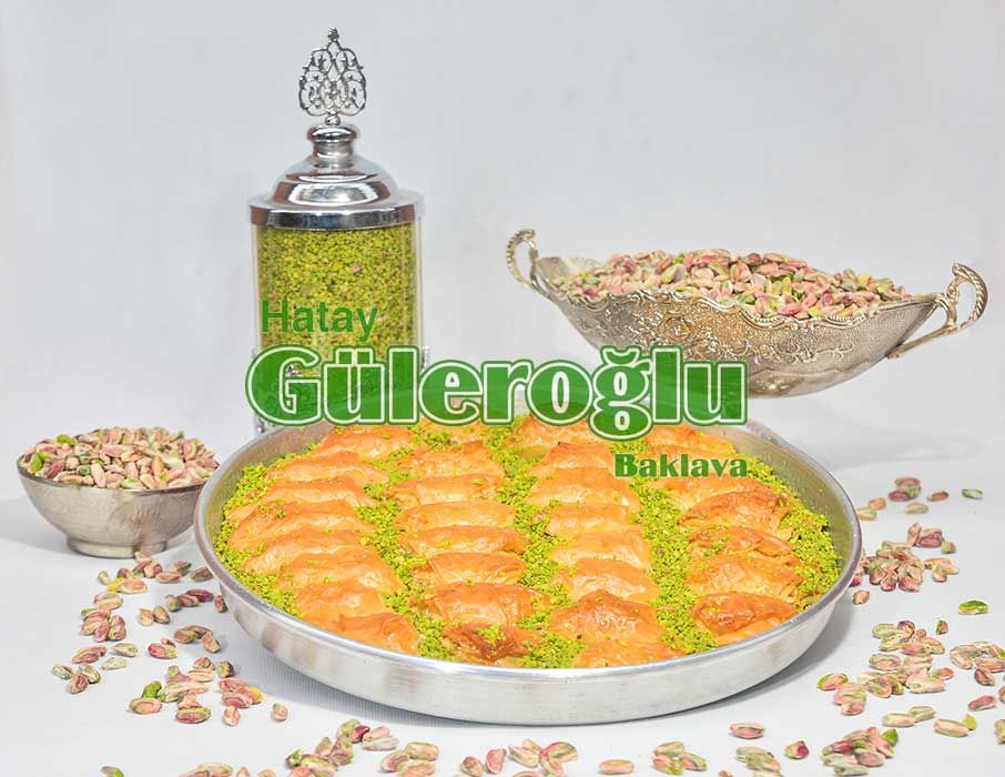 Saray Sarma